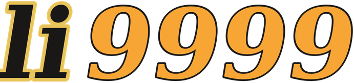 li9999 logo